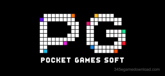 PayPal Authorized Partner